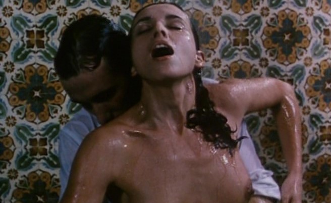 The Perfect Husband (1993)