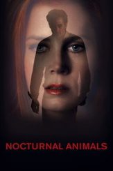 Nocturnal Animals